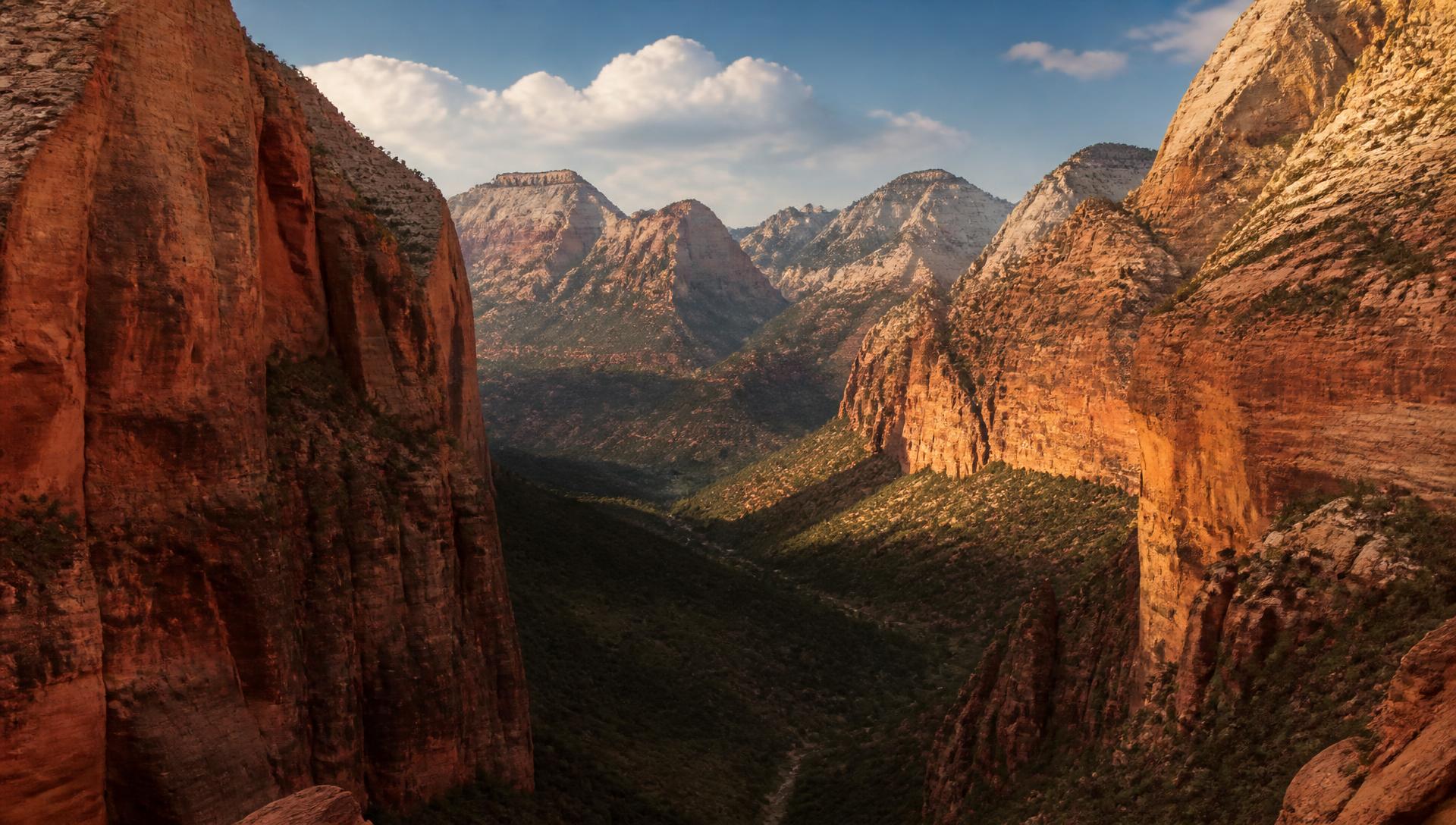 Zion Canyon sandstone walls in Zion National Park, Utah, in warm terracotta duotone