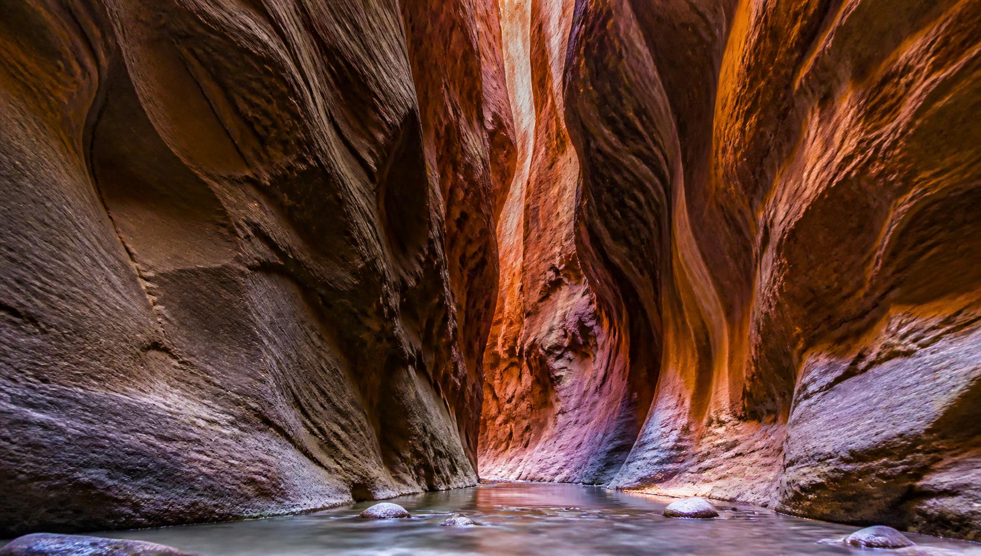 The Narrows slot canyon in Zion National Park, Utah, in warm terracotta duotone